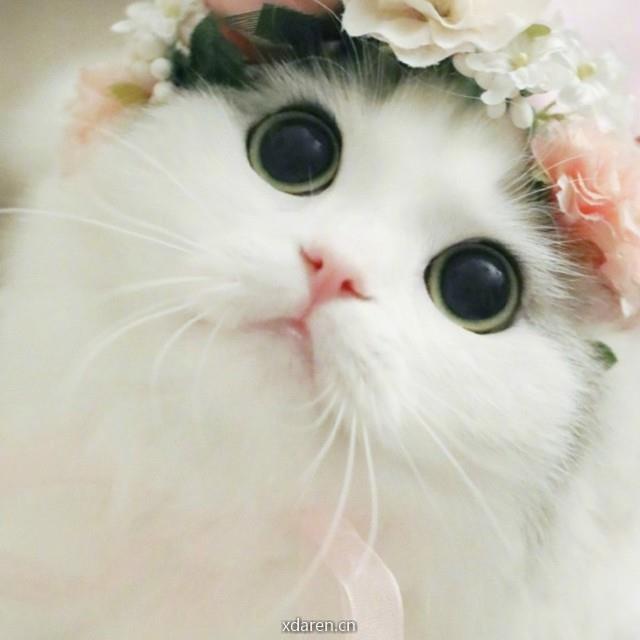 再好不过美食坊