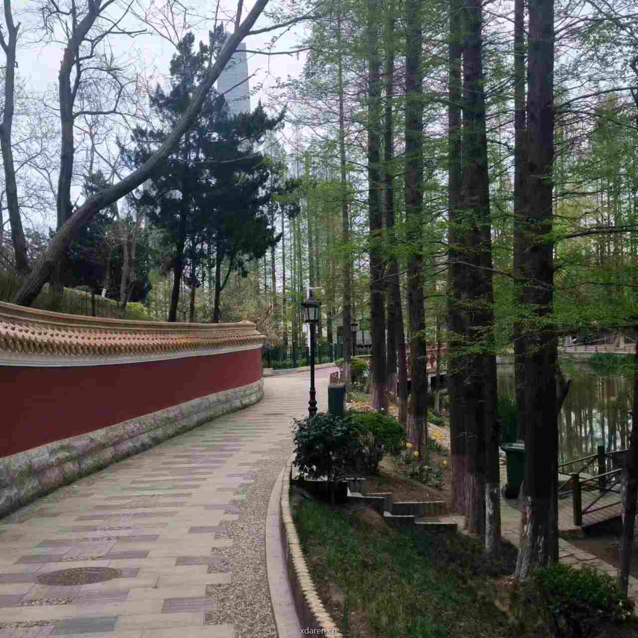 tz主任答疑解惑