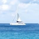 谢先生的那片海