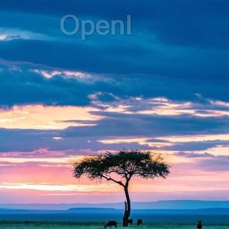 OpenAI提出AGI五级标准,高管:我们仍处第一级