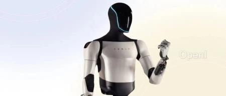 具身智能万字研究:通用机器人领域的关键问题、重要公司全梳理