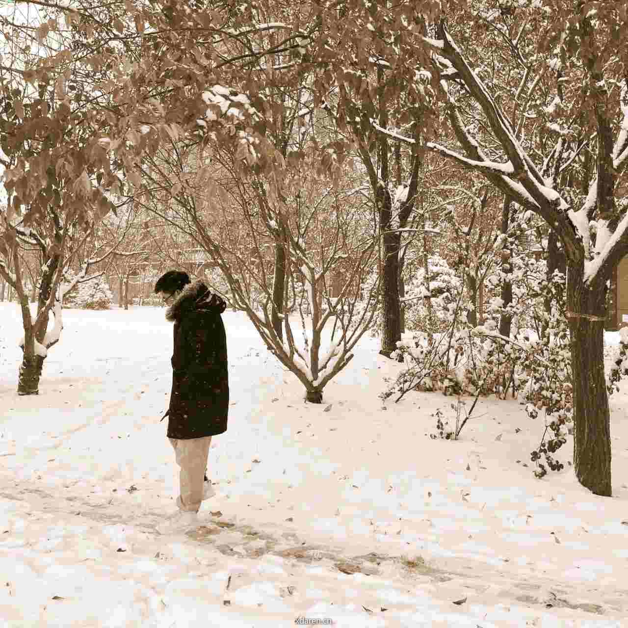 职业成长启示录