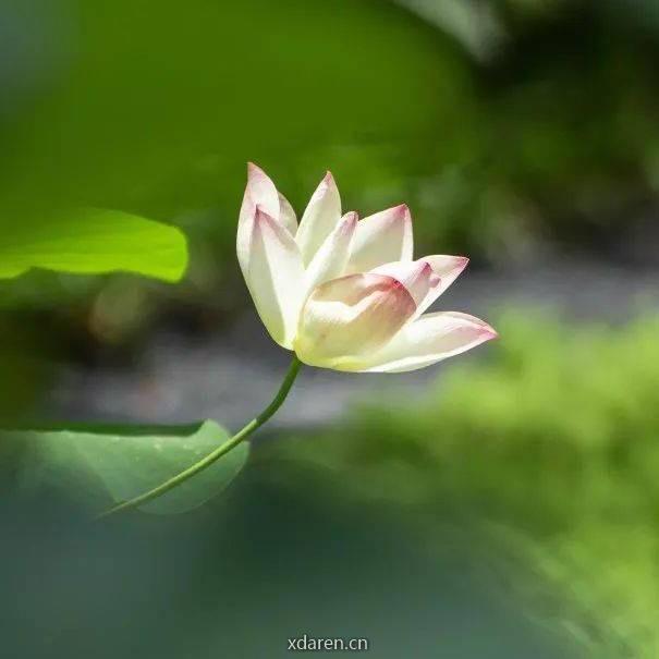 刘暗花明又一村