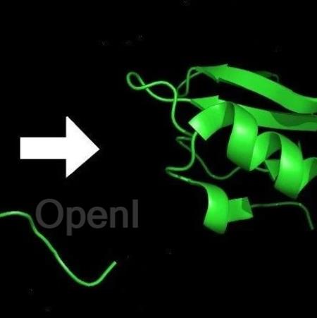 AlphaFold为什么能精准预测蛋白质结构？
