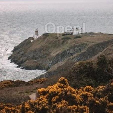 降本增效背景下,金融业如何重新审视投入与产出 | 直播预告