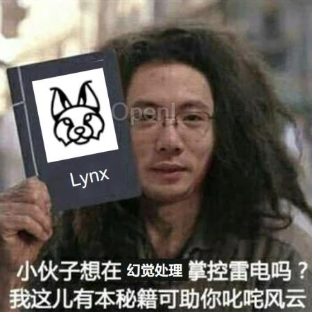 老外整了个领先的幻觉检测模型Lynx