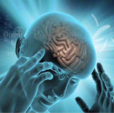 Nature最新:刘智慧/孙文斐/Thomas C. Südhof等合作揭示社交学习长期记忆的巩固机制