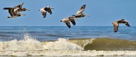 挖矿不行了找AI接盘!挖矿公司们来抢云厂商生意:收入涨10倍,今年的算力早就卖完了!