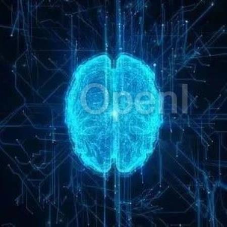 对儿童的脑成像研究披露,生物性别和认知性别与不同的脑网络模式有关