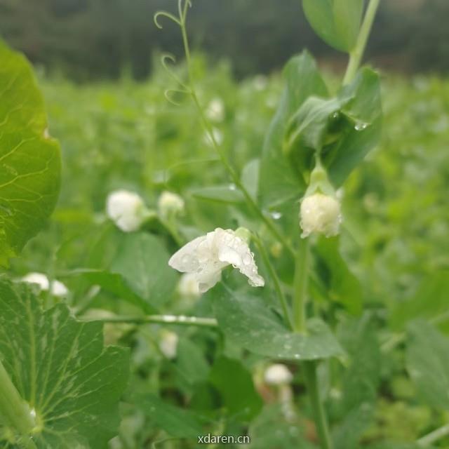 小笨熊的故事录