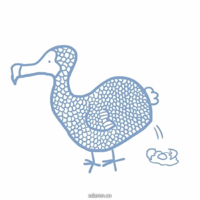 渡渡鸟妈妈课堂