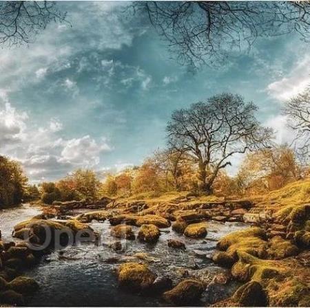 欺诈层出不穷,AI与大模型如何助力金融机构应对挑战?