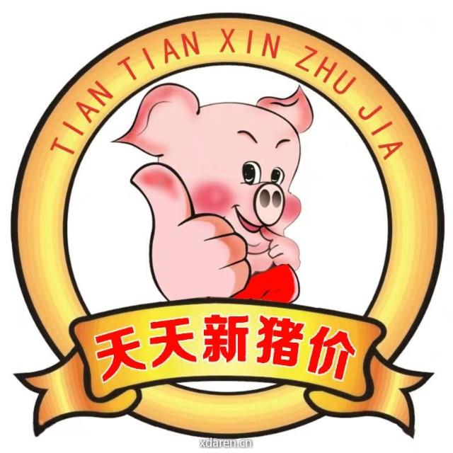 天天新猪价