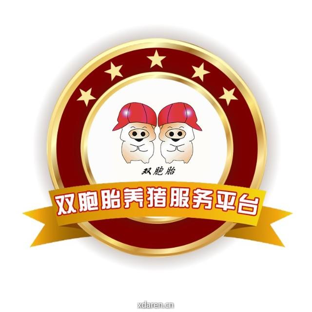 双胞胎集团