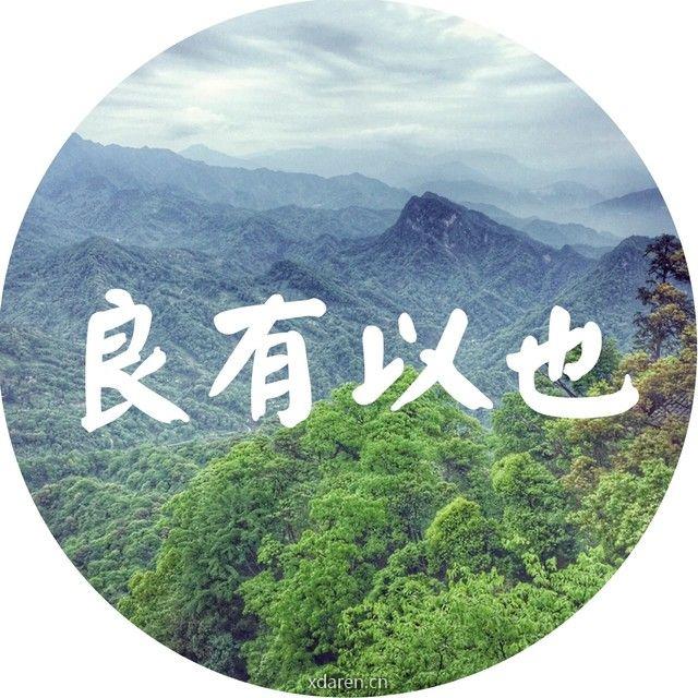 良有以也