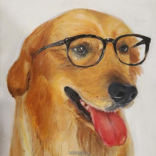 爱生活的科研狗