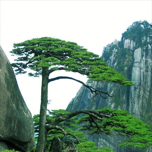 劲松吧