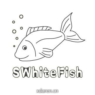 小白鱼的生统笔记