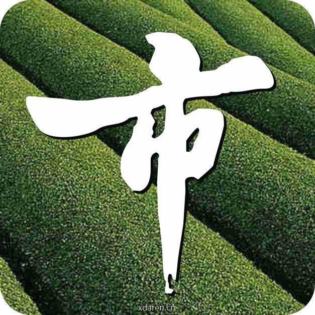 茶叶集市
