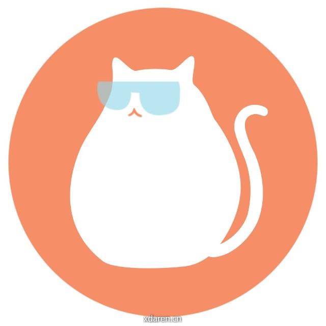 橙猫涉影