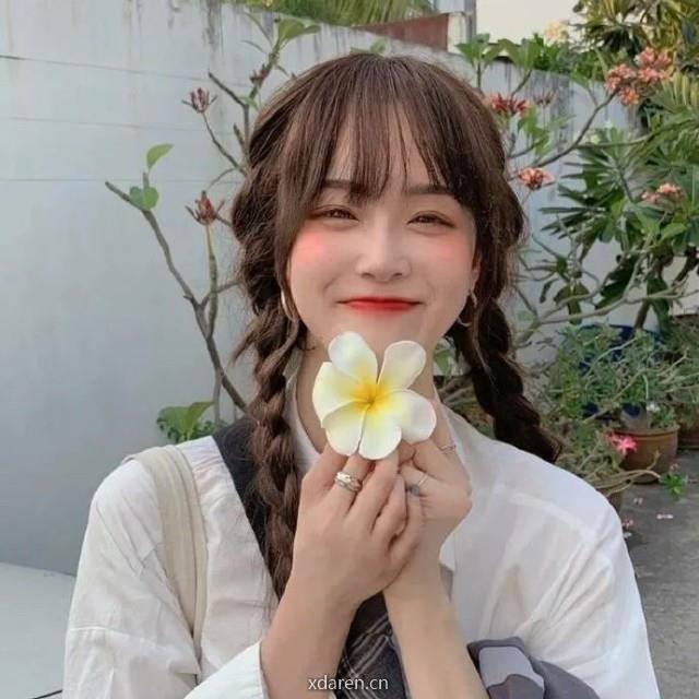 头像宝藏社