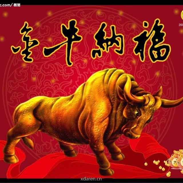 价值投机研究院