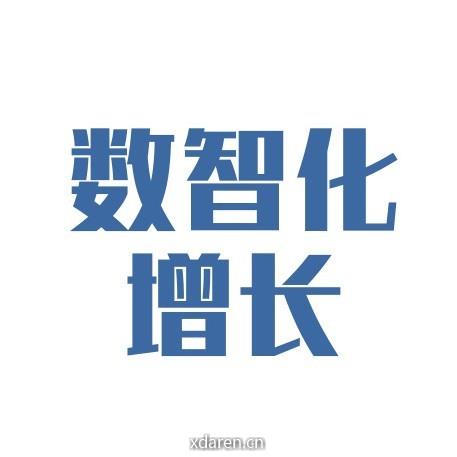 数智化增长