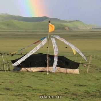 3E生态保护与恢复