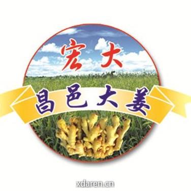 昌邑大姜