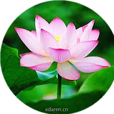 你知道你的心吗