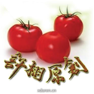 许栩原创之供应链计划