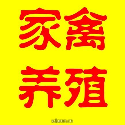 家禽养殖网