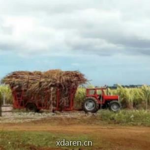 海外工程那些事儿