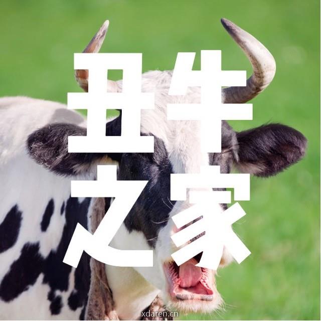 丑牛之家