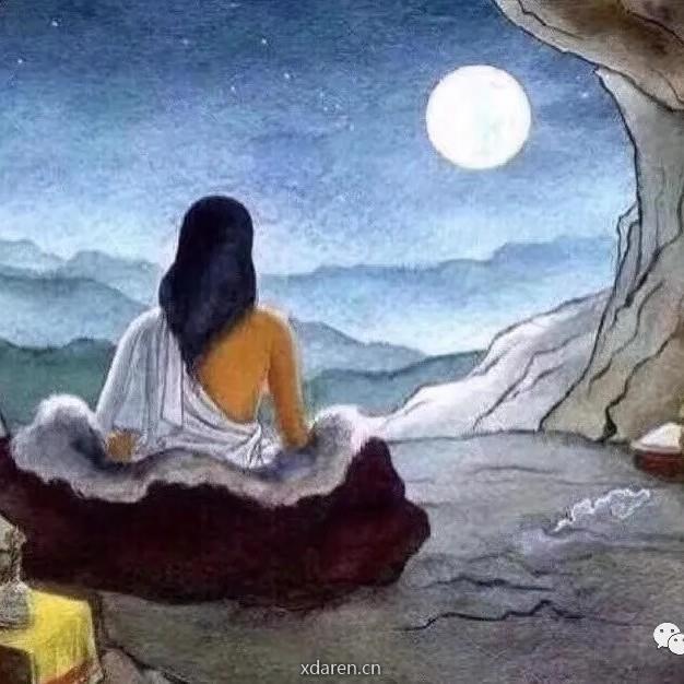 菩提树藏语平台