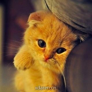 赤戟的书荒救济所