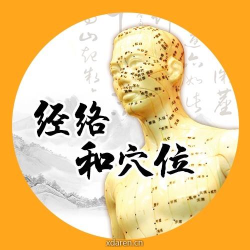 经络和穴位