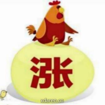 程镇说蛋价