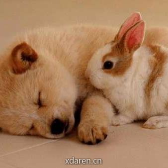 自然语言处理实践