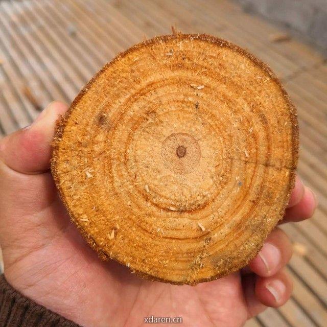 贫困山区的亮光