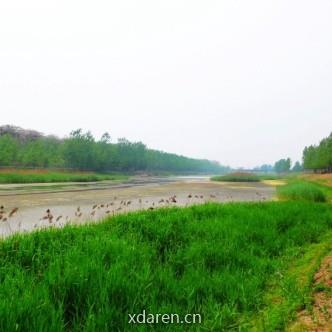 沱河弯弯