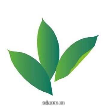 粤海知青网