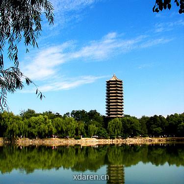 北大出版社社科图书