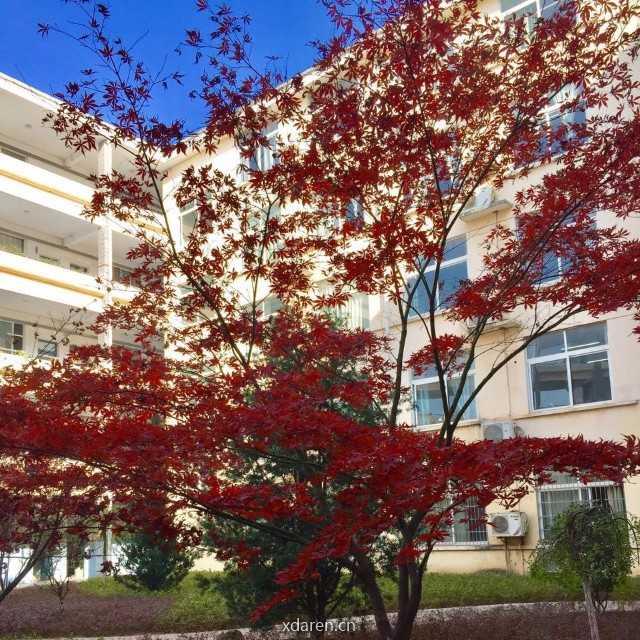 古诗词鉴赏学法指导