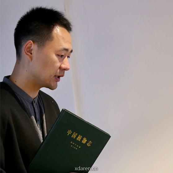 茶叶进化论