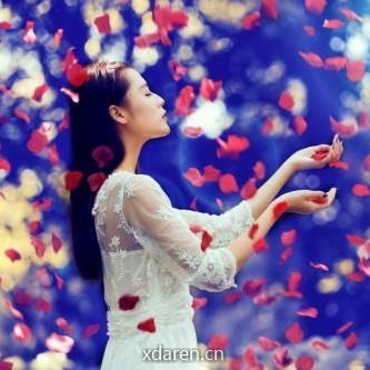 花瓣雨文化工作室