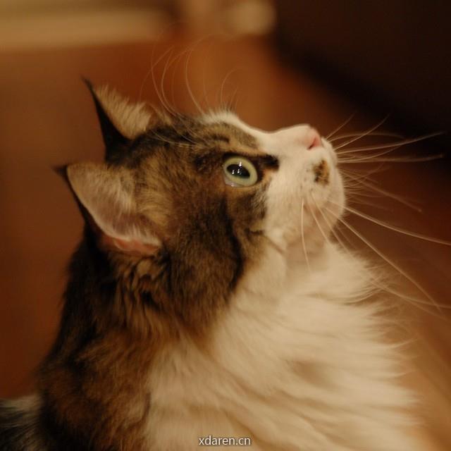 和Vicky一起发大财