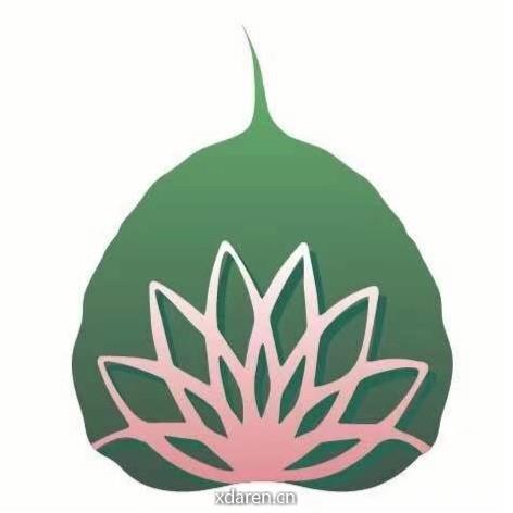 徐小黄正念微观