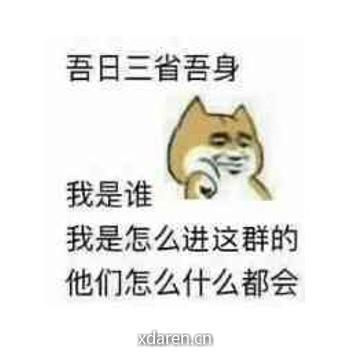 马弓手经济学攻略