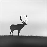 零鹿陆热点观察